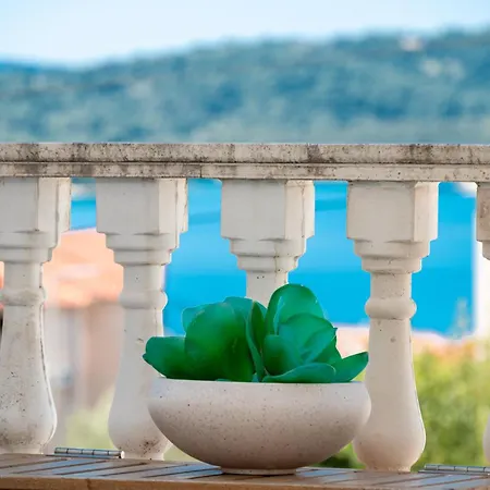 Oasis